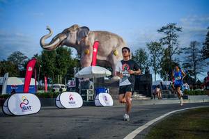 BIB: 
                            <button type="button" onclick="openModal(26541937)" class="btn btn-primary btn-sm float-right btn-popup" data-toggle="modal" data-target=".modal-high-quality">
                        <i class="fas fa-shopping-cart"></i> Add to Cart
                    </button>
                                            <button type="button" onclick="isThisMe(26541937, true)" class="btn btn-success btn-sm float-right btn-popup btn-isme hidden" data-toggle="tooltip" data-placement="bottom" title="นี่คือรูปของคุณใช่ไหม คลิกที่นี่เพื่อเอาเข้าอัลบั้ม">
                        <i class="fas fa-plus"></i> Add to album
                    </button>
                    <button type="button" onclick="isThisMe(26541937, false)" class="btn btn-warning btn-sm float-right btn-popup btn-isnotme hidden">
                        <i class="fas fa-ban"></i> Remove from album
                    </button>